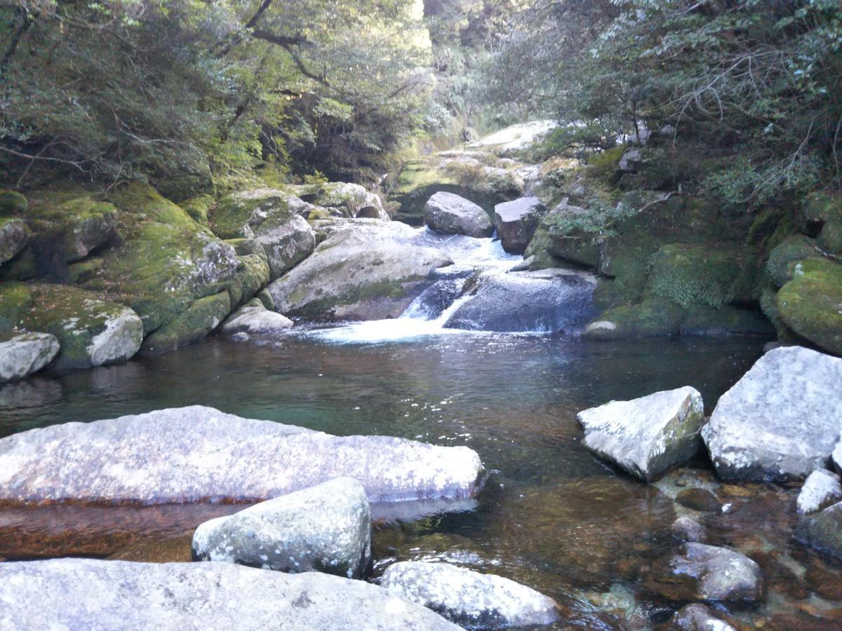 Cottage Yakusugi House Yakushima  Exterior foto