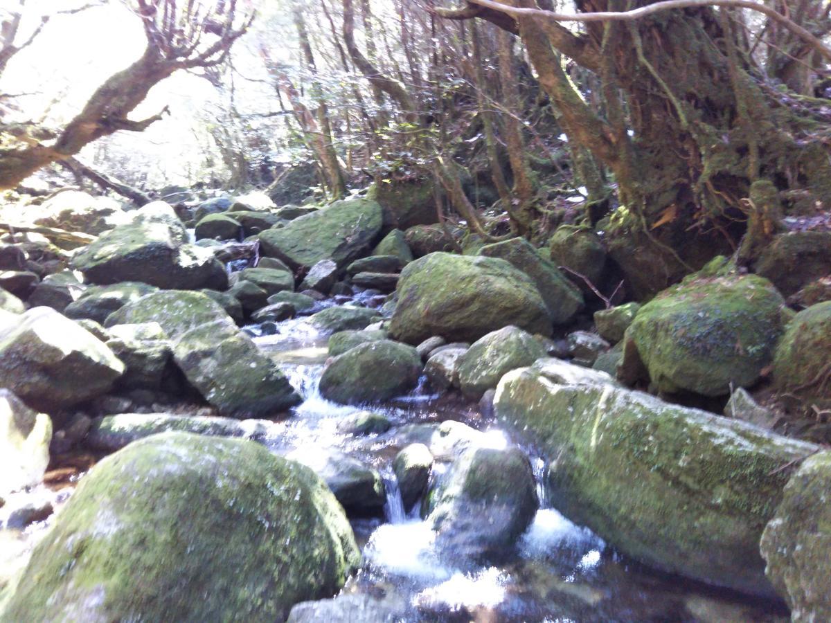 Cottage Yakusugi House Yakushima  Exterior foto