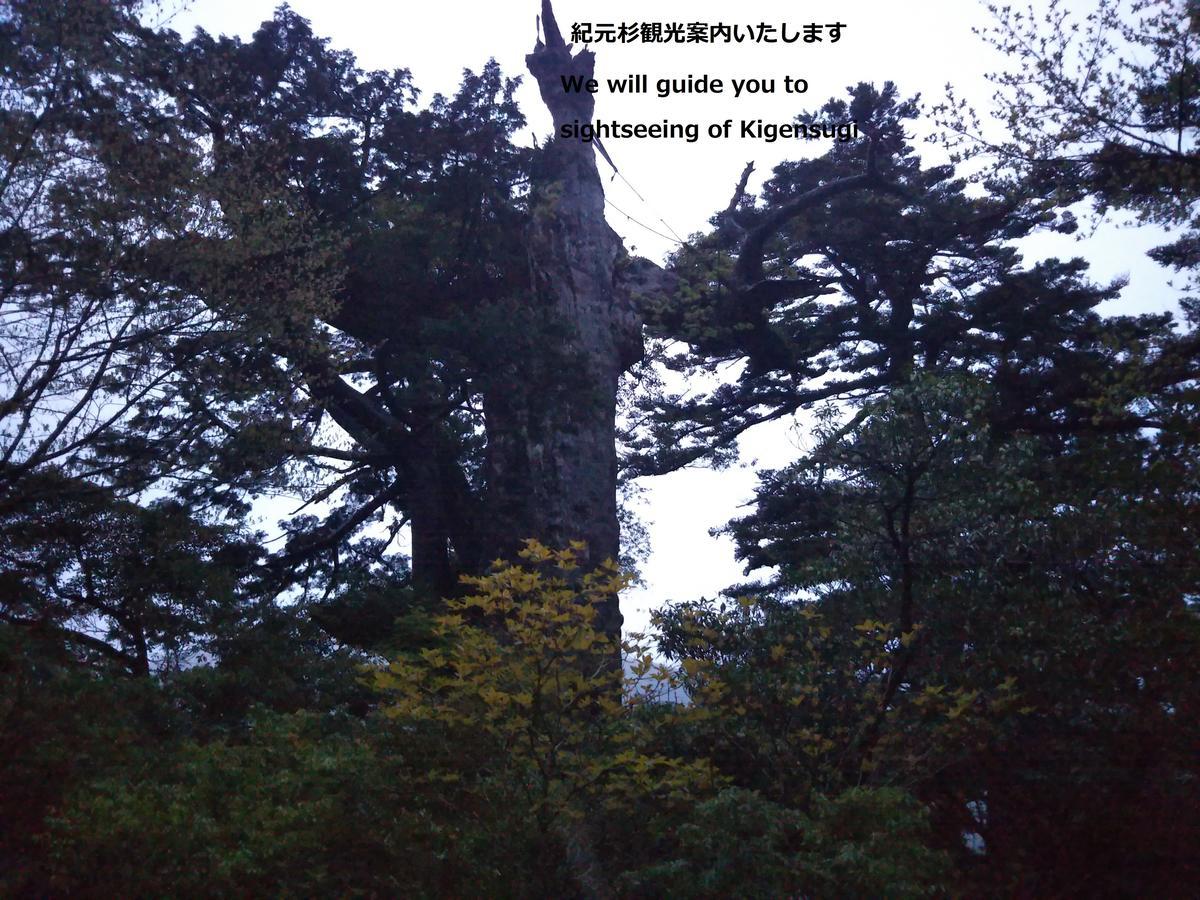 Cottage Yakusugi House Yakushima  Exterior foto