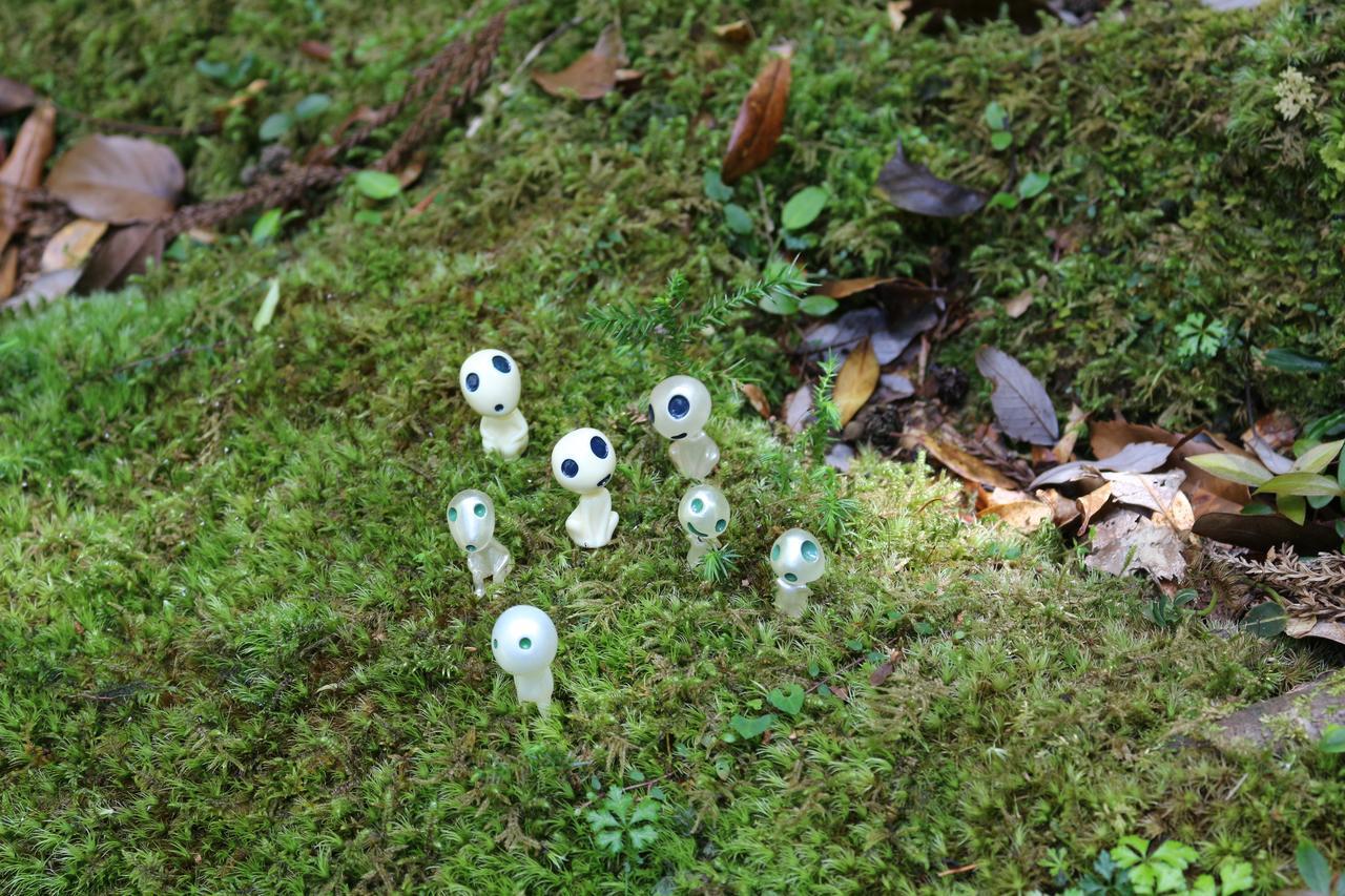 Cottage Yakusugi House Yakushima  Exterior foto