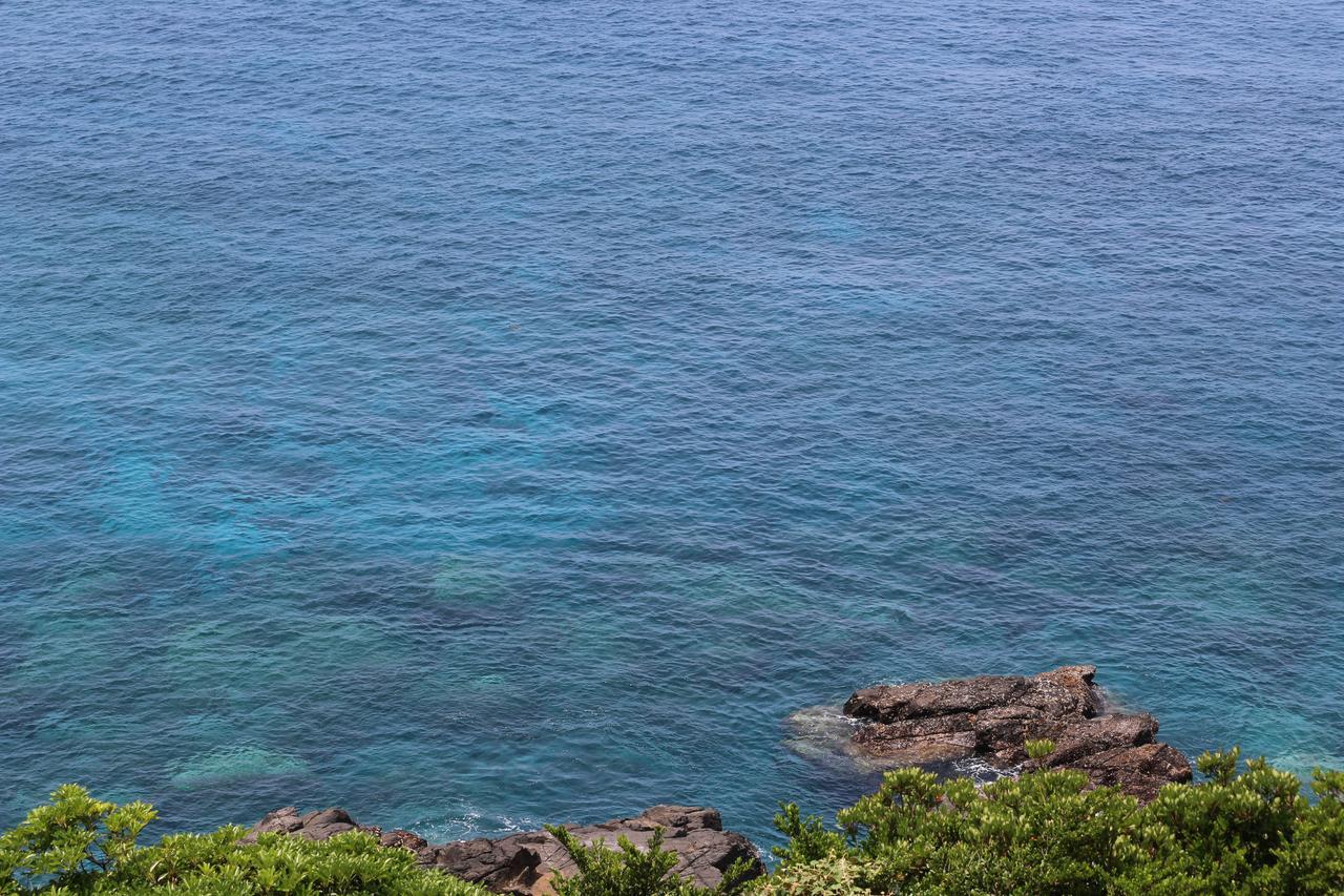 Cottage Yakusugi House Yakushima  Exterior foto