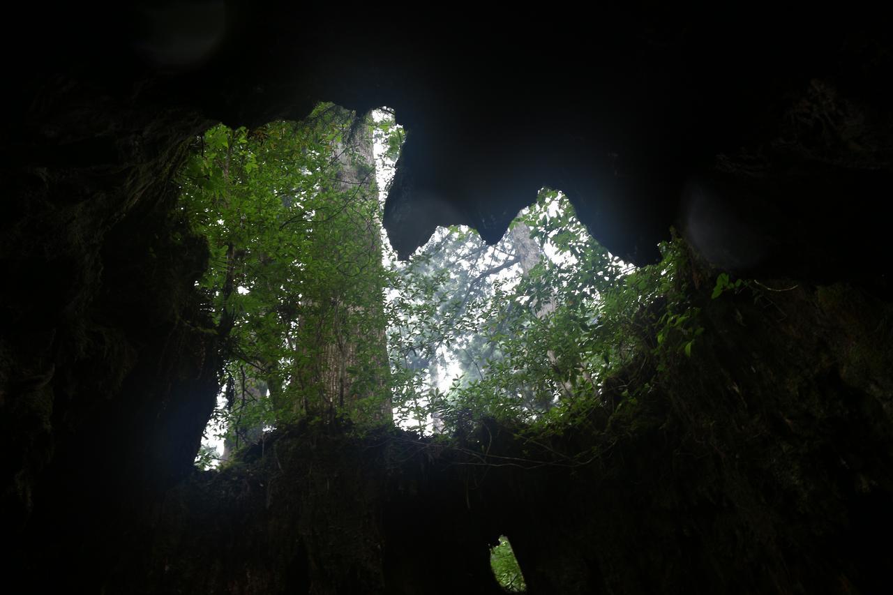 Cottage Yakusugi House Yakushima  Exterior foto
